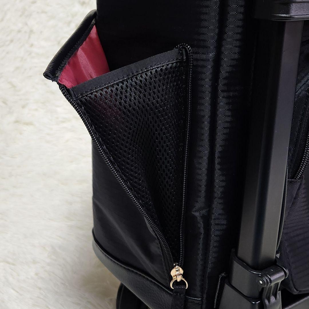 【極美品】SWANY オリジナルスワニー ウォーキングカート ブラック