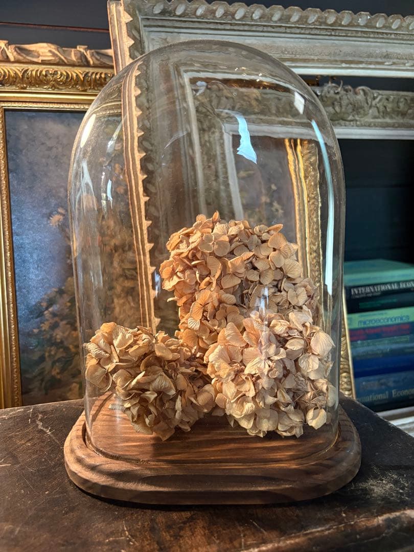 ガラスドーム　レア