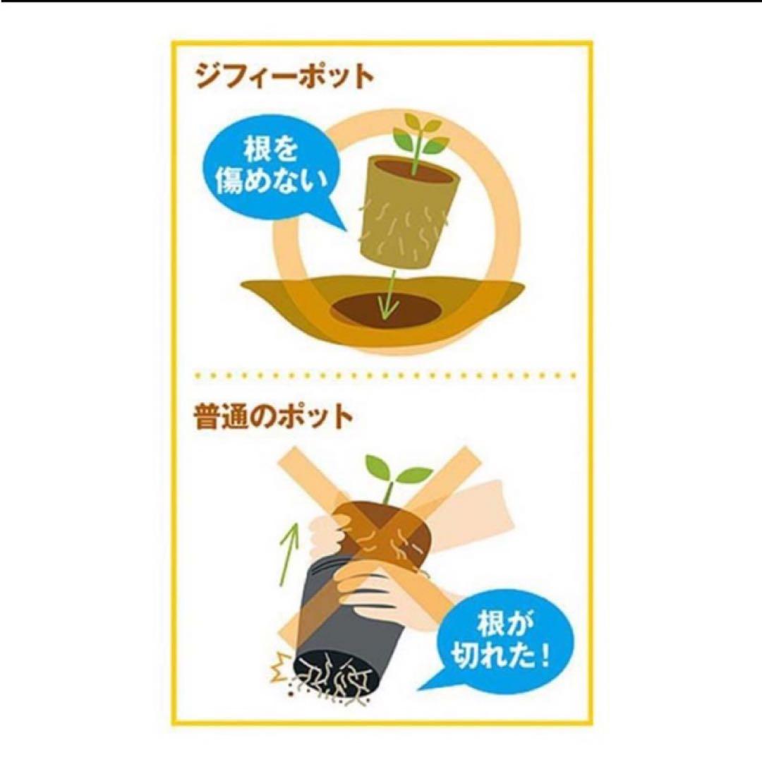 ジフィーポット丸型 8cm 約1400個入 スリット入り#130そのまま植えれる