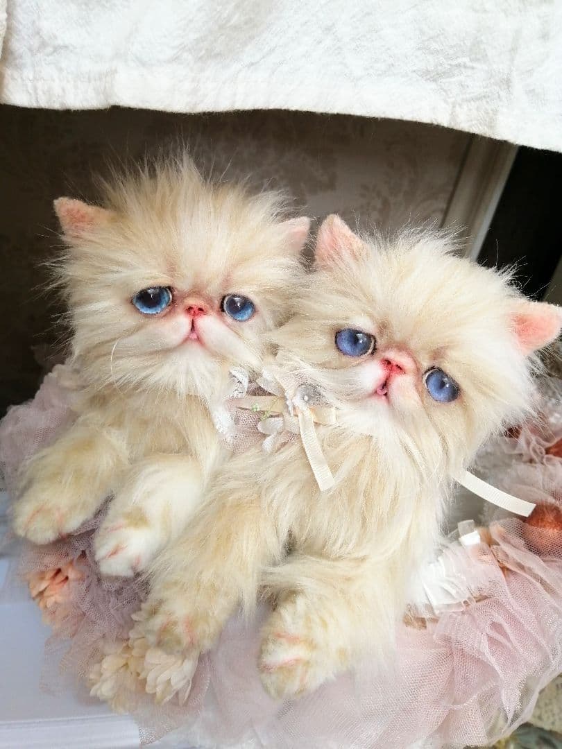 お花のバスケットと双子の子猫ちゃん♡エキゾチック♡アートドール♡ぬいぐるみ♡