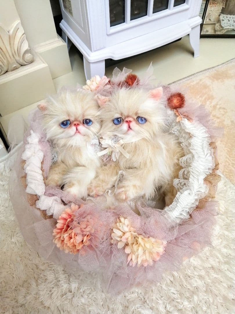 お花のバスケットと双子の子猫ちゃん♡エキゾチック♡アートドール♡ぬいぐるみ♡