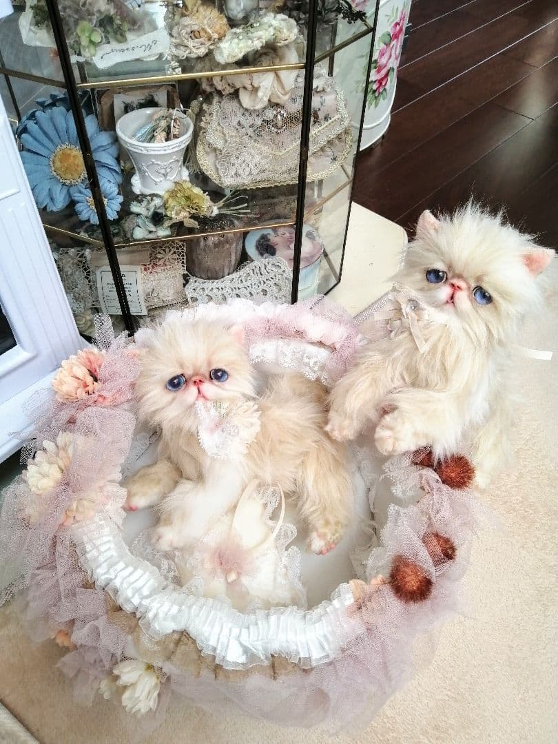 お花のバスケットと双子の子猫ちゃん♡エキゾチック♡アートドール♡ぬいぐるみ♡