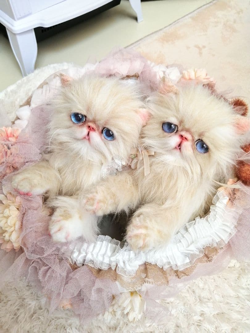 お花のバスケットと双子の子猫ちゃん♡エキゾチック♡アートドール♡ぬいぐるみ♡