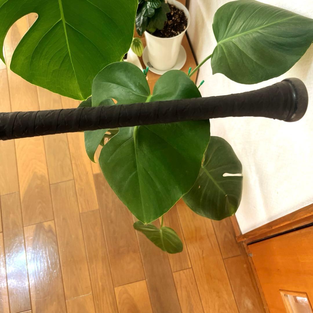 し*ん様 レガシー　バット