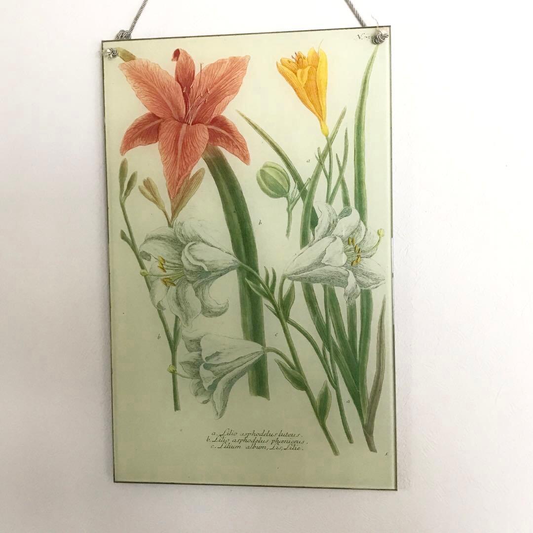 【希少】John Derian ジョン・デリアン デコパージュ【大判】