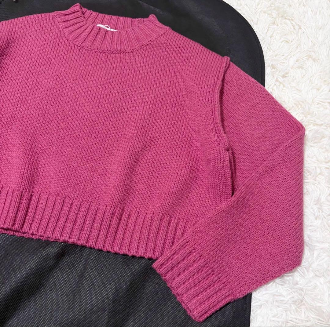 【新品タグ付き✨】sheller inside out sweater ピンク