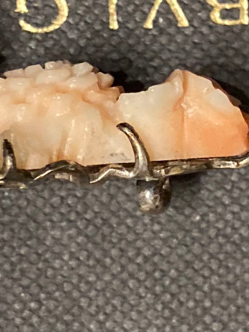 【激レア】本珊瑚　帯留　希少