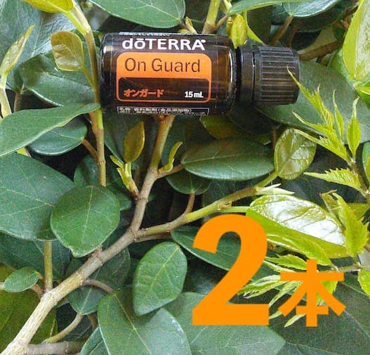 【❗️2本組 新品 未開 最安】ドテラ オンガード 15ml 28年代 追跡便
