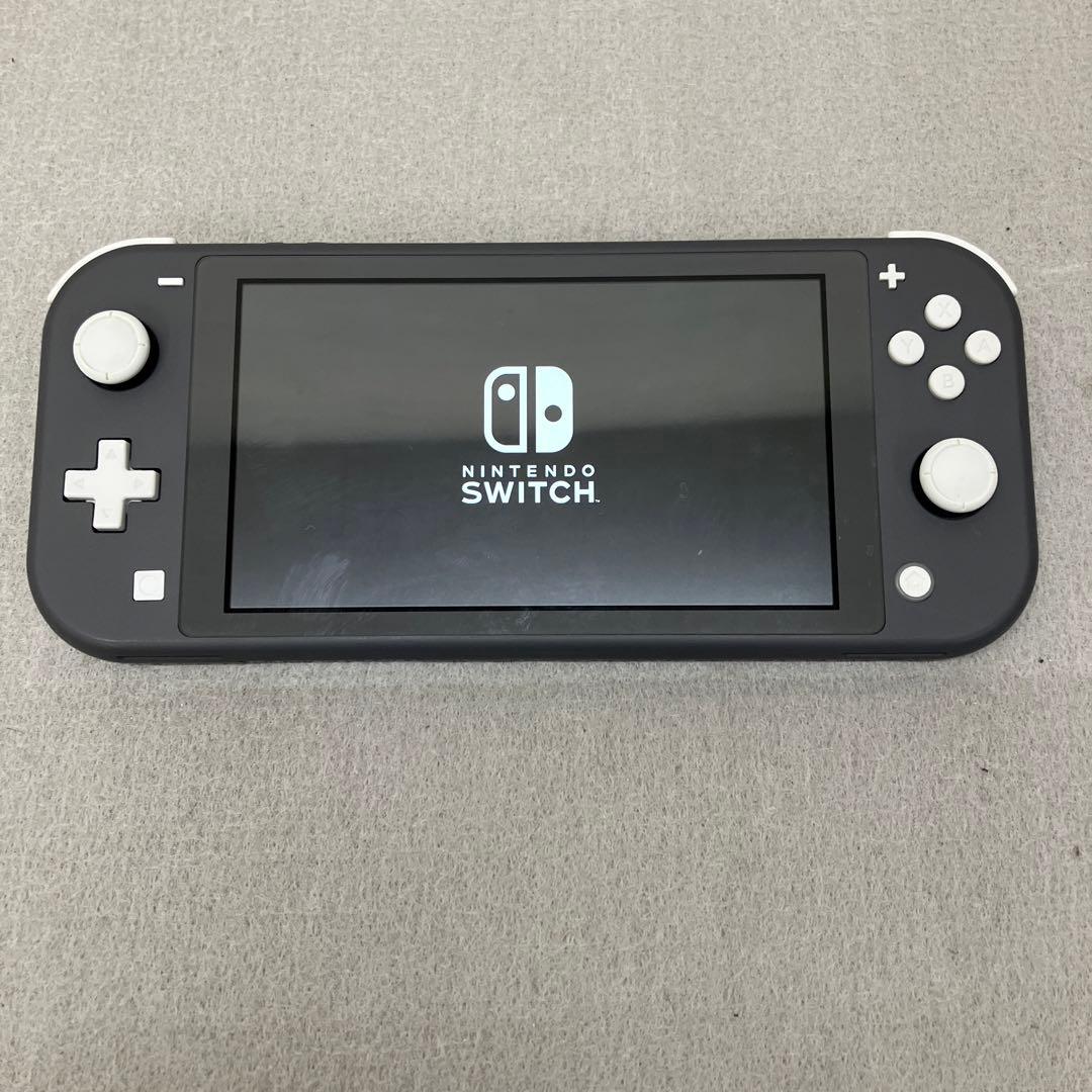 GD6119 Nintendo Switch Lite グレー