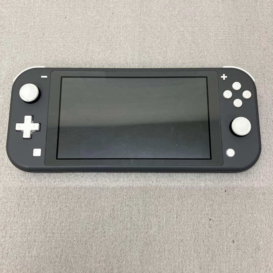 GD6119 Nintendo Switch Lite グレー