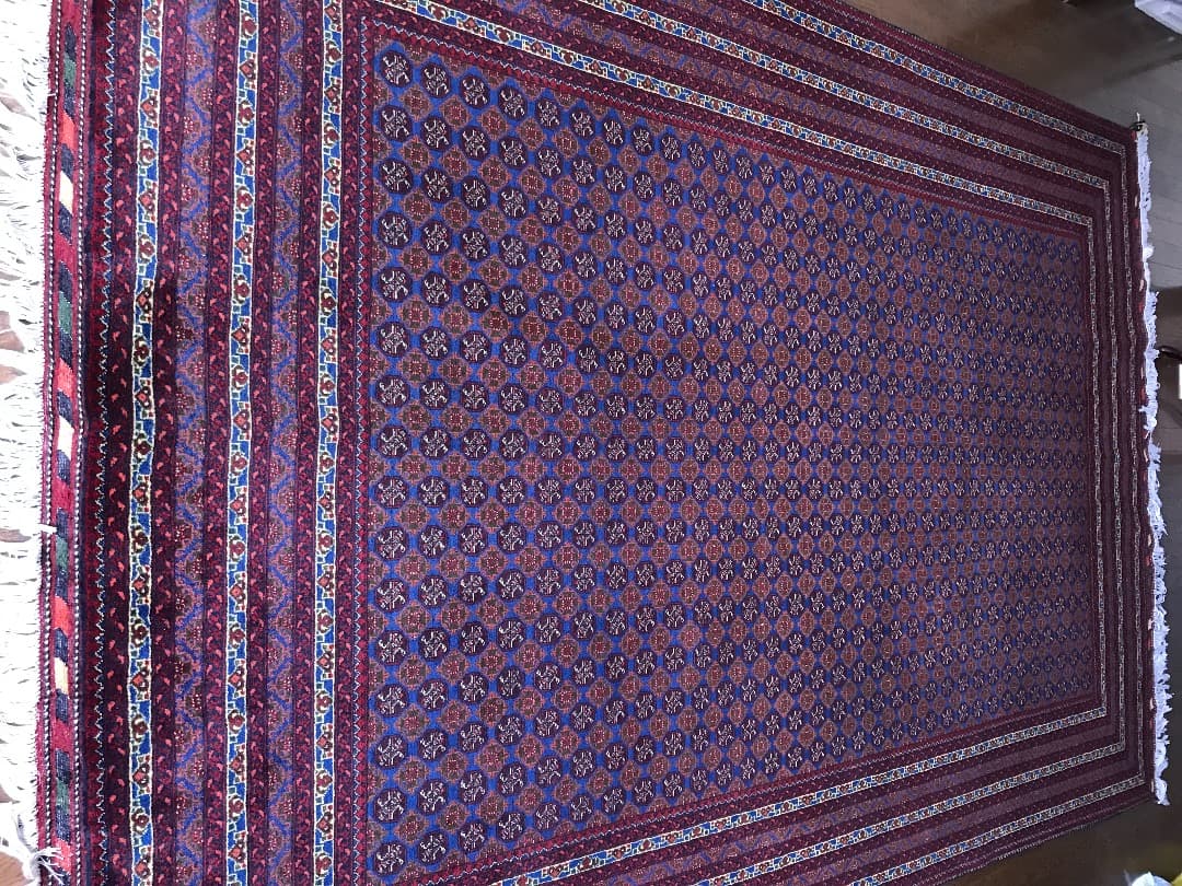 絨毯の女王ーホジャロシュナイ(274cm x 182cm)