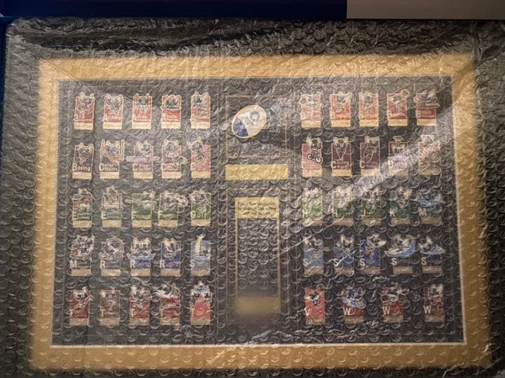 額装ピンバッジセット(東京2020オリンピックマスコット/エンブレム)