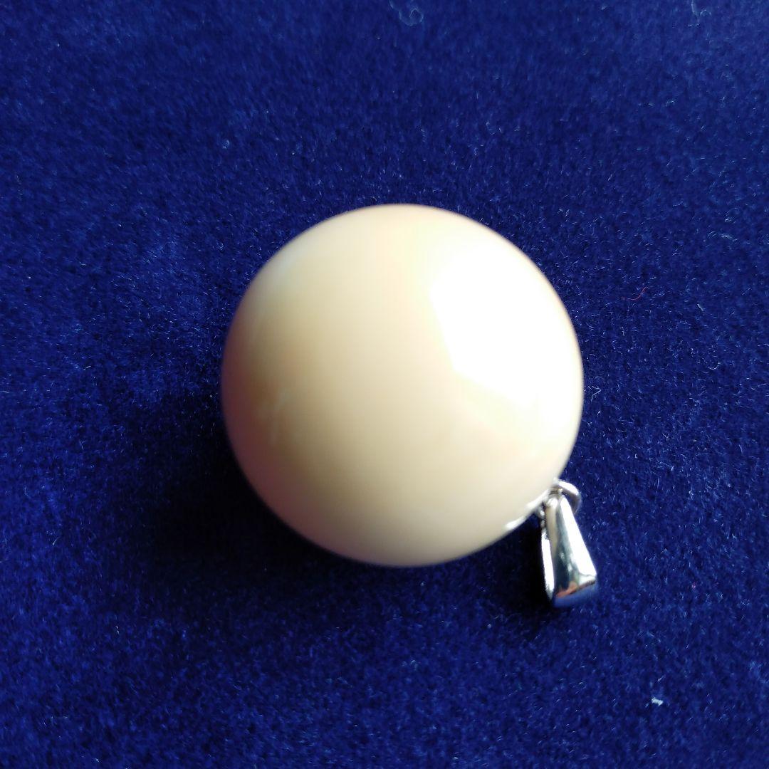 鯨歯　マッコウクジラ　牙玉　特大約20.5㎜