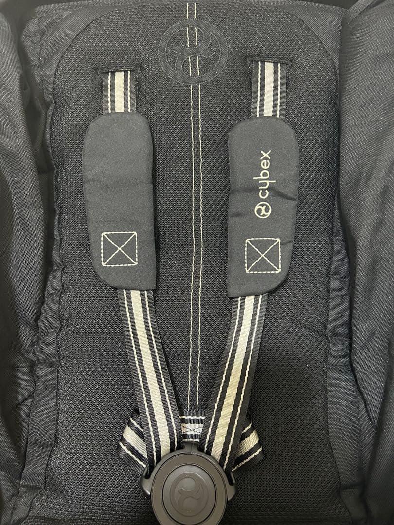 ゆかっくま サイベックス　リベル バンパーバー付き