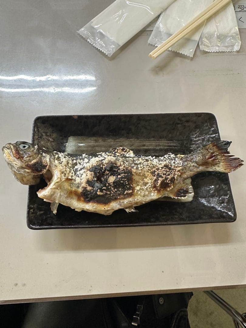 焼き魚 トラウト グリル 料理