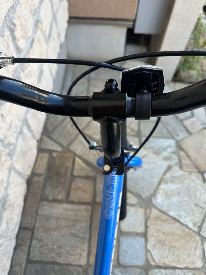 STRIDER 14x キッズバイク 青