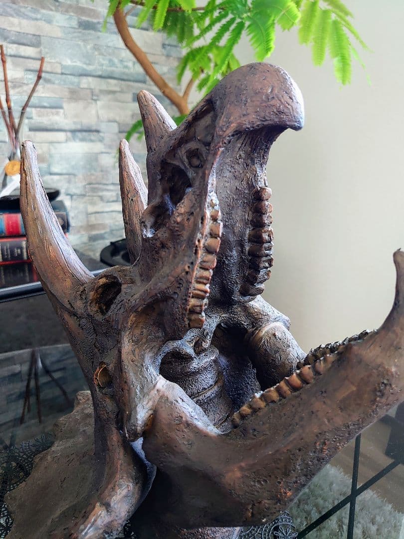 【2個セット】外箱なし ティラノサウルス トリケラトプス 頭骨 化石レプリカ