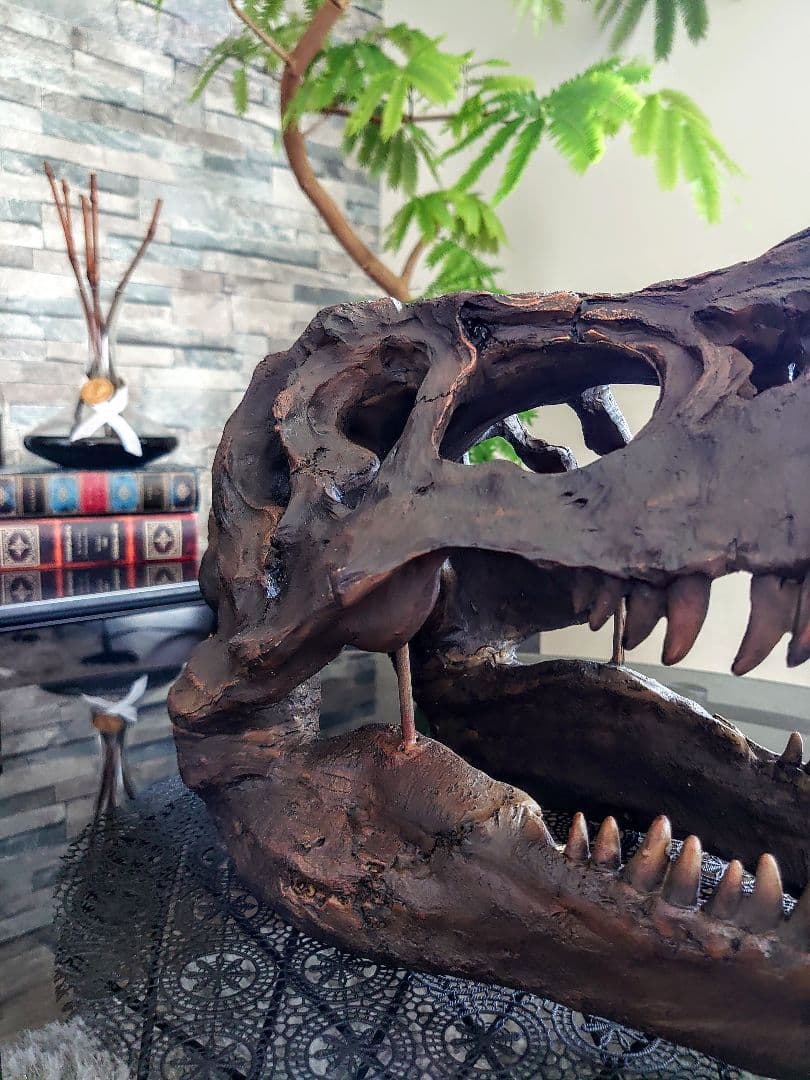 【2個セット】外箱なし ティラノサウルス トリケラトプス 頭骨 化石レプリカ