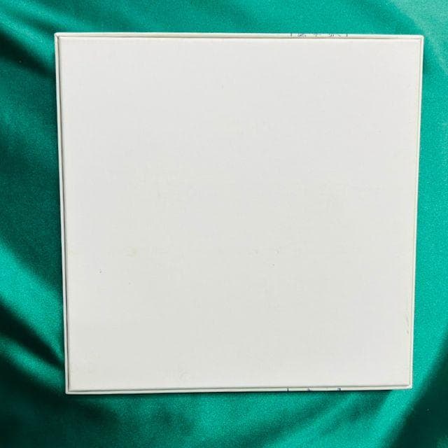 ロイヤルコペンハーゲン イヤープレート 2010 シロクマ WWF コラボ限定版