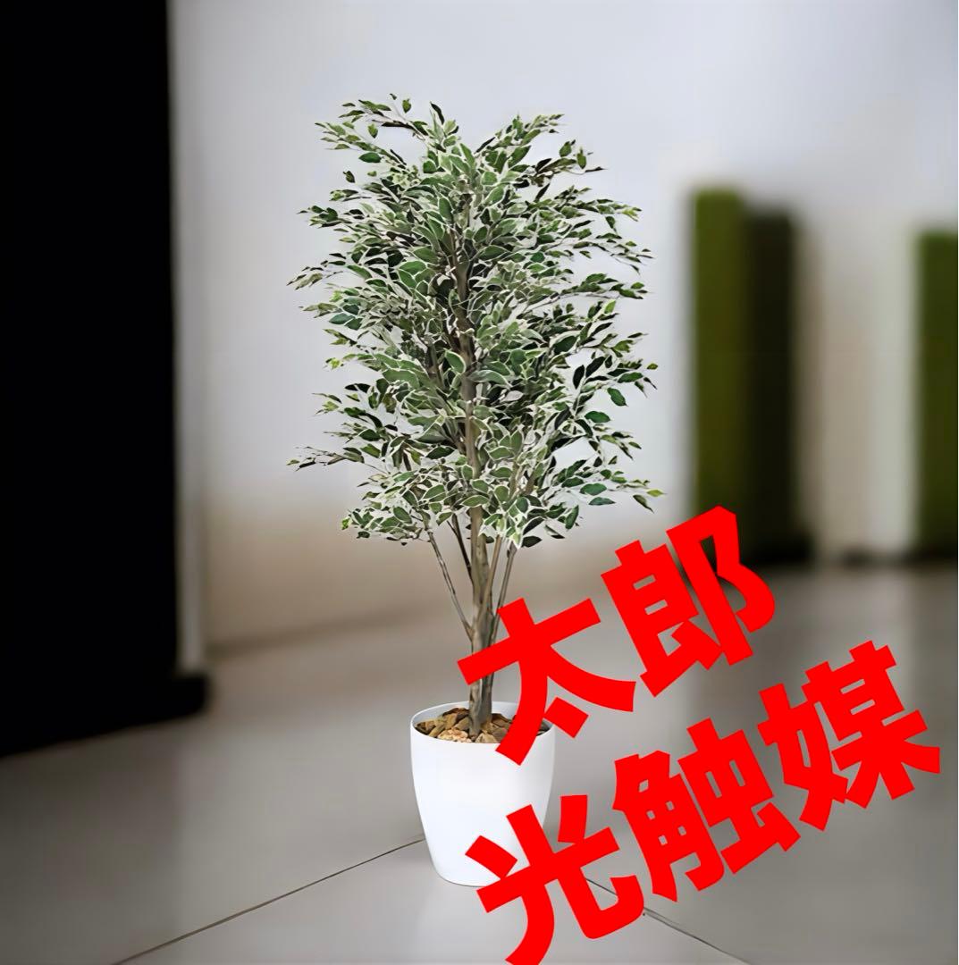 光触媒　人工観葉植物　ウォールグリーン　フェイクグリーン　ベンジャミンフィカスG