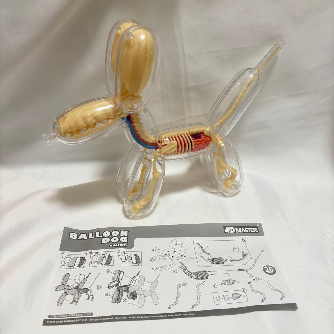 4d master フォーディーマスター バルーンドッグ　スケルトン　クリア