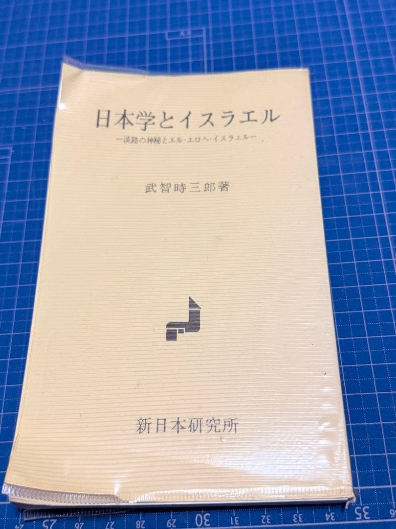 日本学とイスラエル 武智時三郎　著　新日本研究所　絶版
