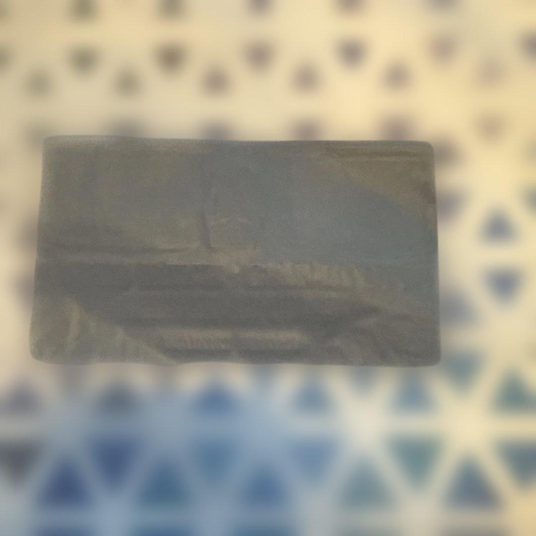 ALOHACOLLECTION×リッツカールトンワイキキ　宿泊者限定ポーチ