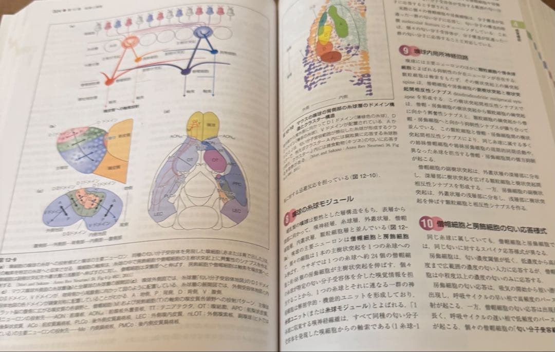 【新品未使用】標準生理学/標準病理学
