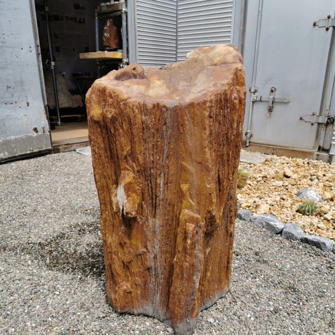 インドネシア産　珪化木　222キロ　木化石　庭石　石　鑑賞石　置物　オブジェ