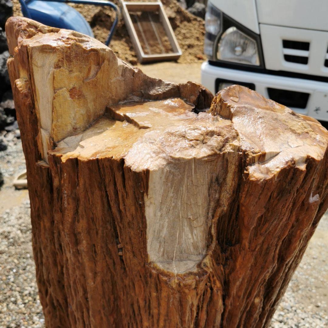 インドネシア産　珪化木　222キロ　木化石　庭石　石　鑑賞石　置物　オブジェ
