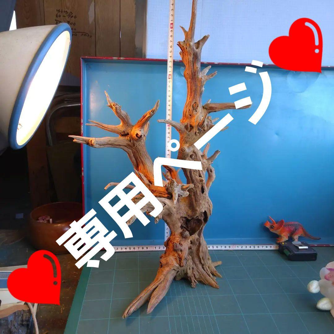 ❤️専用ページ❤️２５７ホーンウツド灰汁抜き硬質流木高さ約５５cm ♥極上