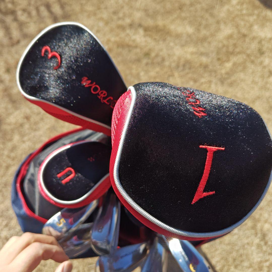 ARNOLD PALMER キャディバッグ アイアンセット付き　フレックスS