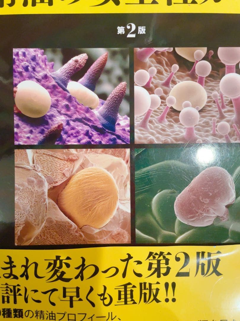 未使用　精油の安全性ガイド　電子書籍付き　第2版　アロマ　精油　辞典　絶版希少