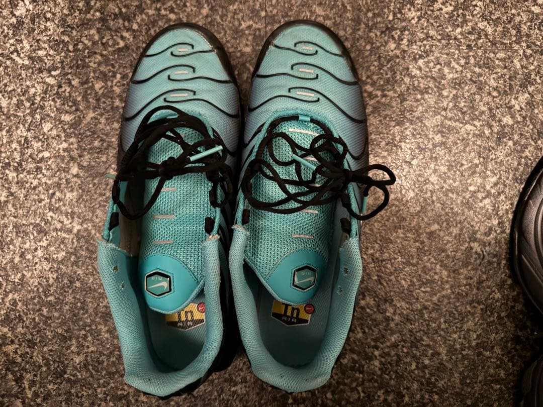 [備品✨]エアマックスプラス 26.5