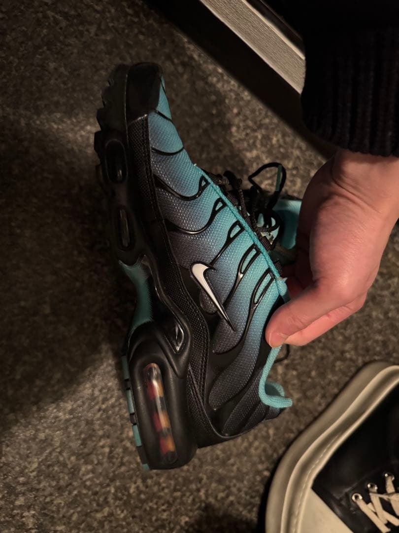 [備品✨]エアマックスプラス 26.5