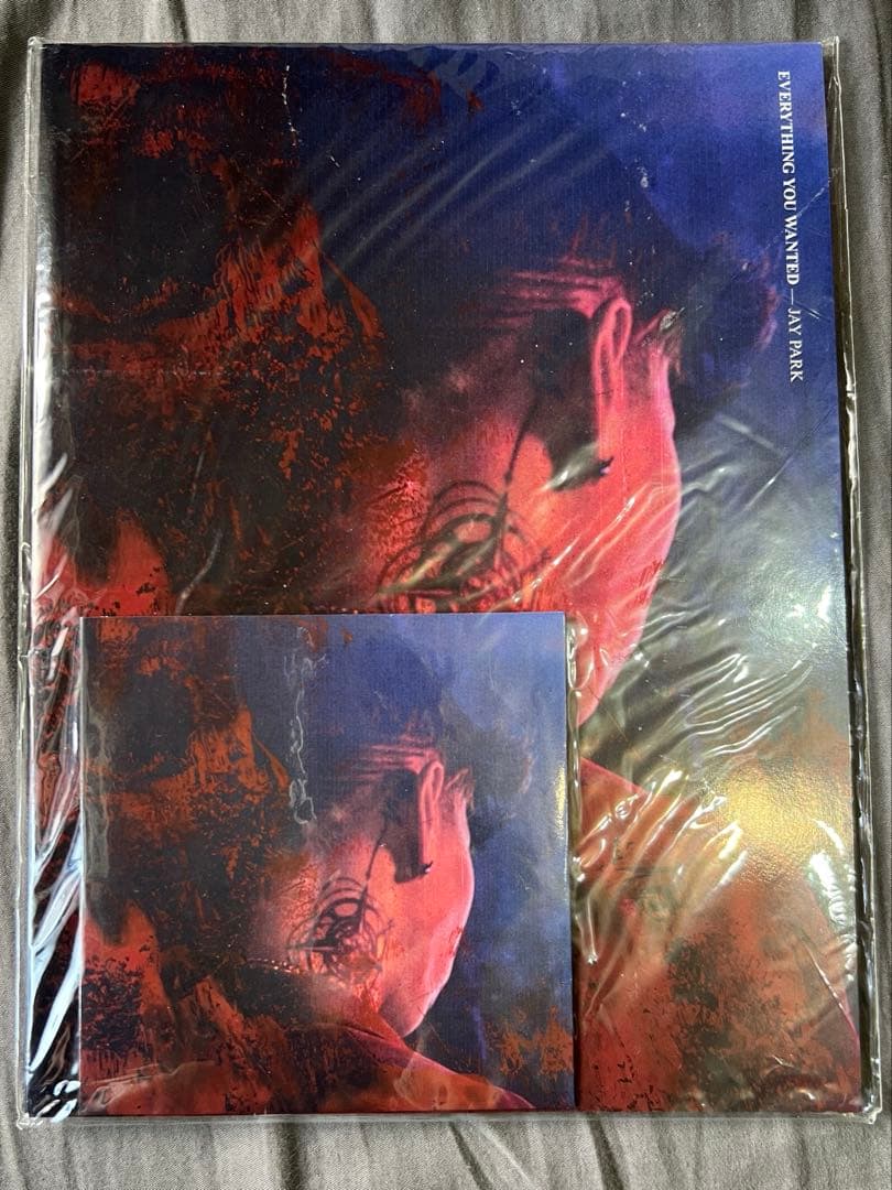 Jay Park Everyting You Wanted 限定版 CD