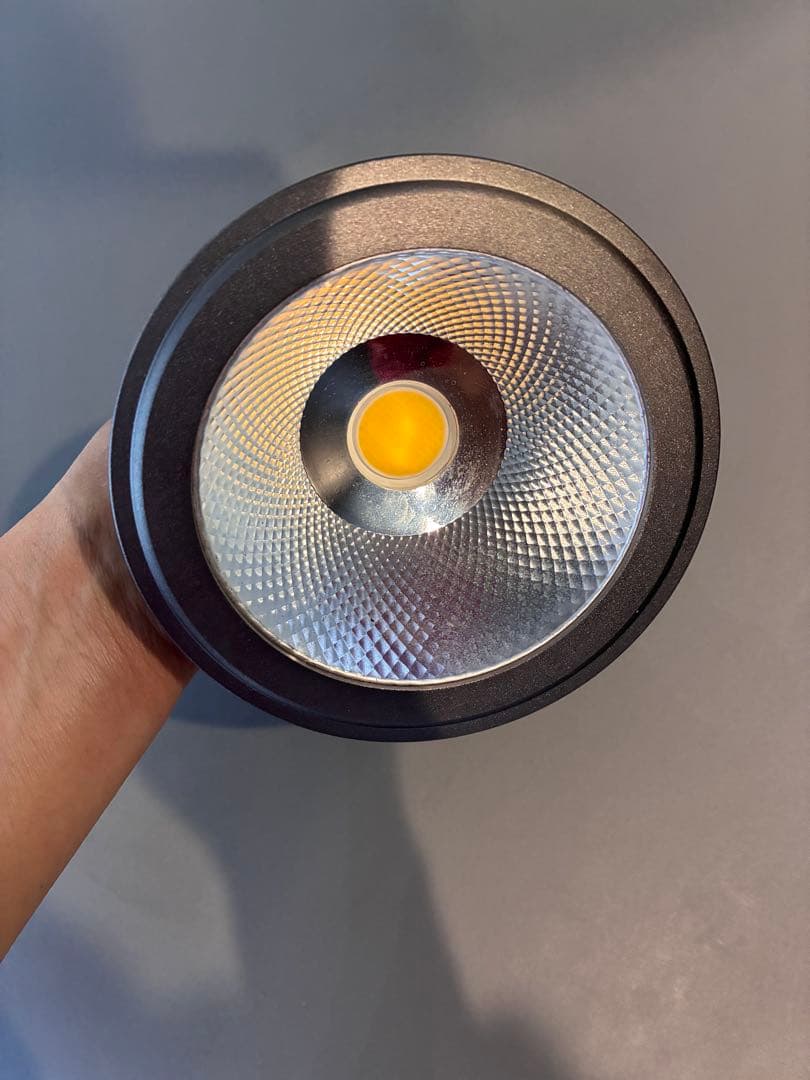 植物育成ライト アマテラス20W LED E26口金 多肉植物 室内栽培