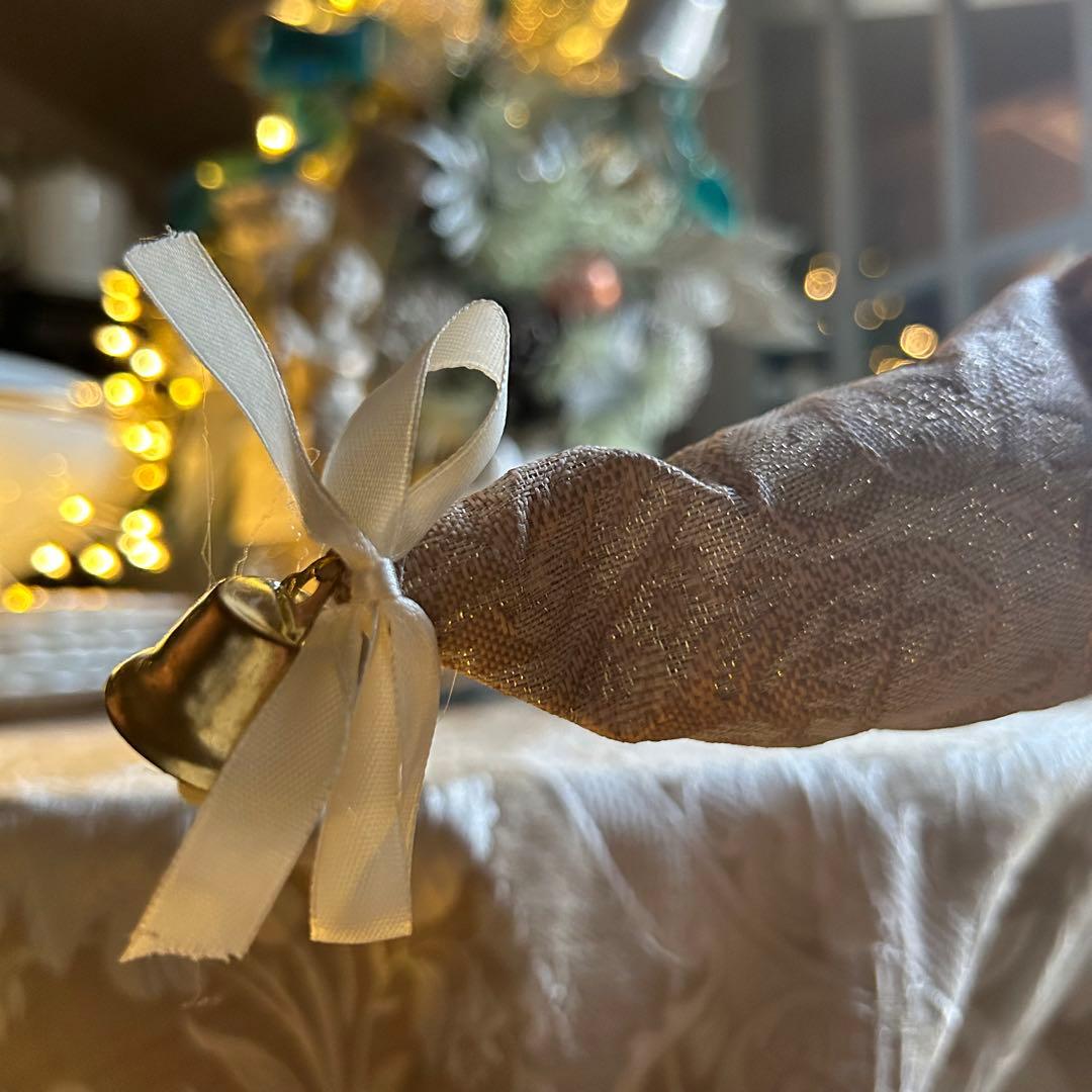 フレンチエレガントꕤ.。ゴールドとパールが奏でる大人のサンタクロースドール