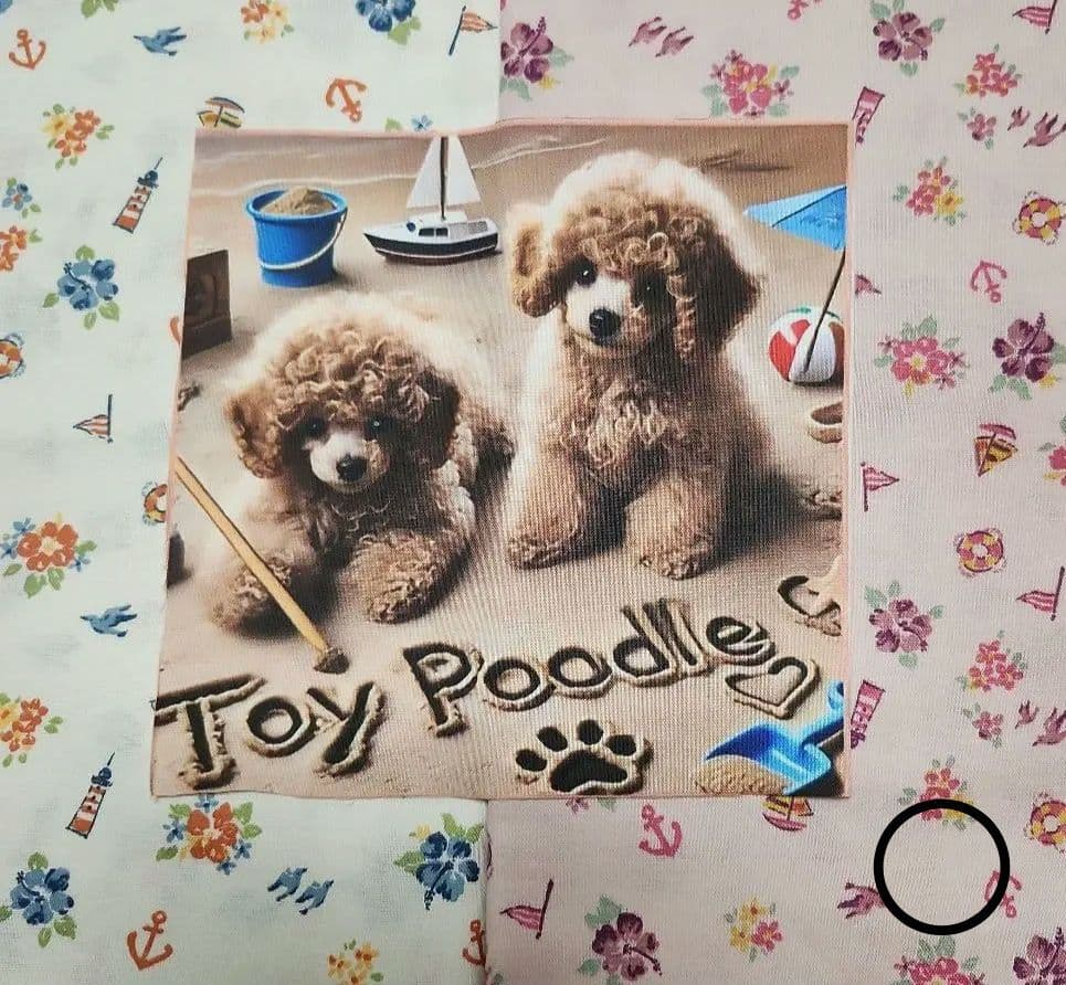 なつぞら様御確認用♬