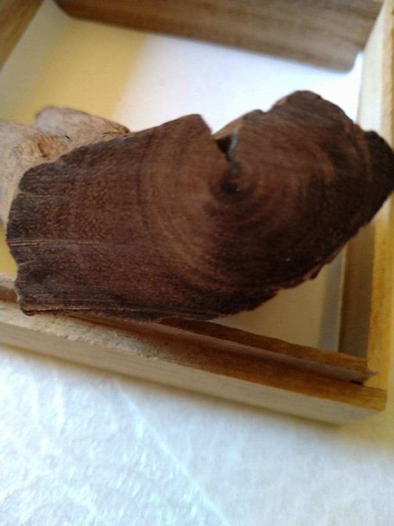 香木.伽羅.沈香.六国五味.天然木 お香用素材 60.42g