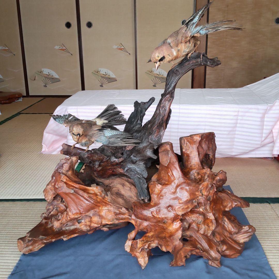 ★ 天然木の置物 鳥の剥製2羽付き インテリア