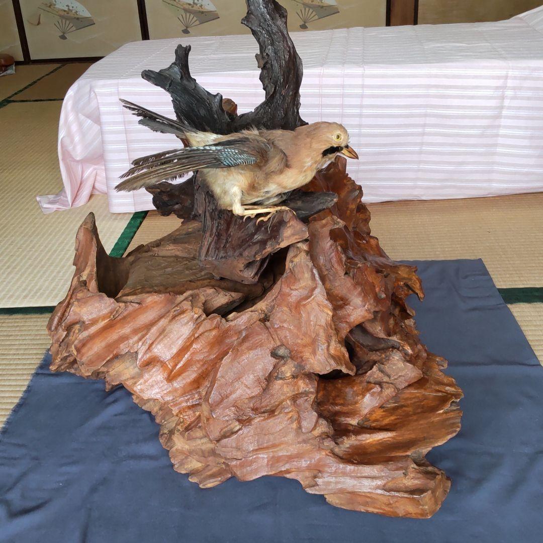 ★ 天然木の置物 鳥の剥製2羽付き インテリア