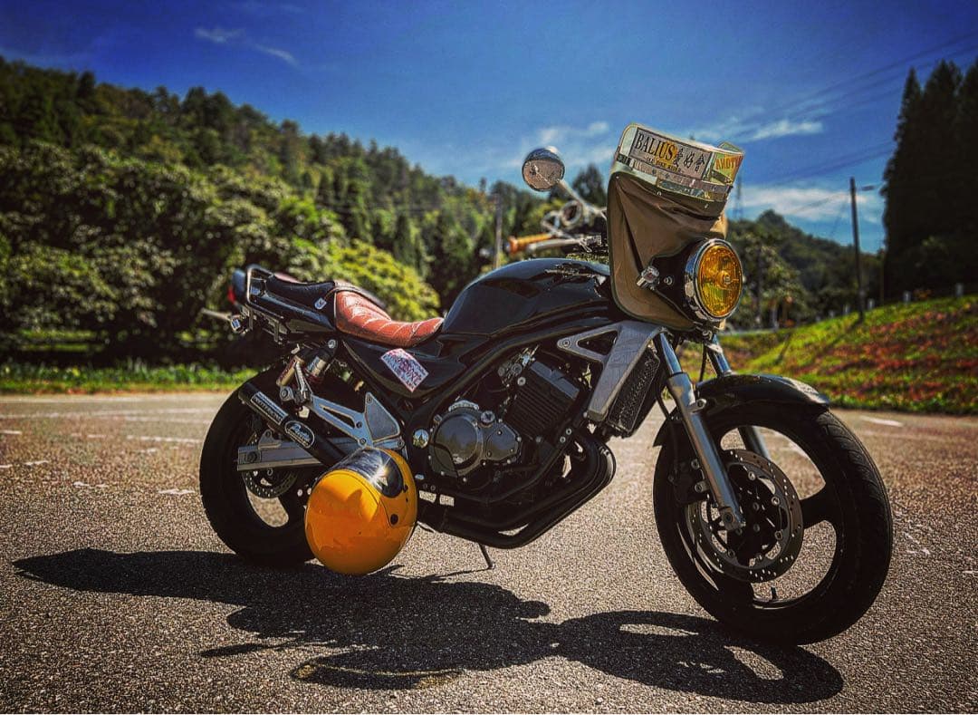 バリオス2（zr250b）茶タックロールシート