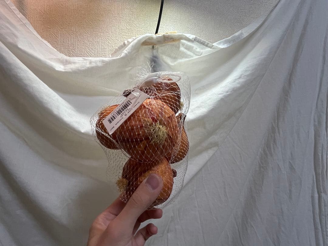 展示品 タマネギ 食品サンプル 56個入 飲食 小物 雑貨 イメージ