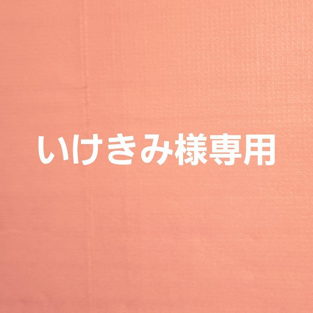 いけきみ　ヒョウ柄4点セット