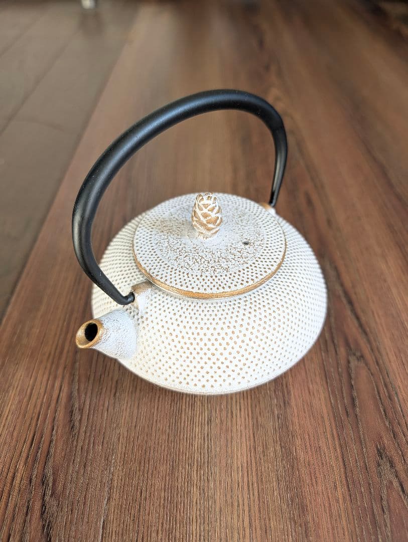 Roji（ロジアソシエイツ） 南部鉄器 急須 あられ