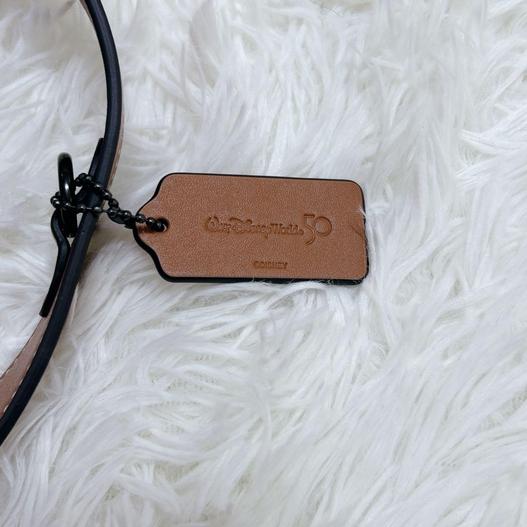 コーチ　ディズニー　レア　刺繍　シグネチャー　ボストン　ショルダー