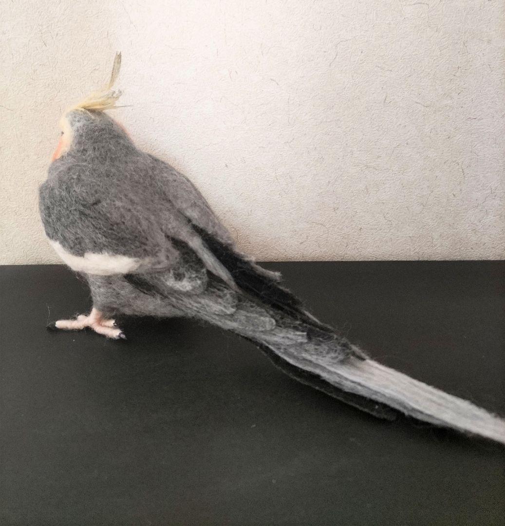 羊毛フェルト オカメインコ ノーマル オス
