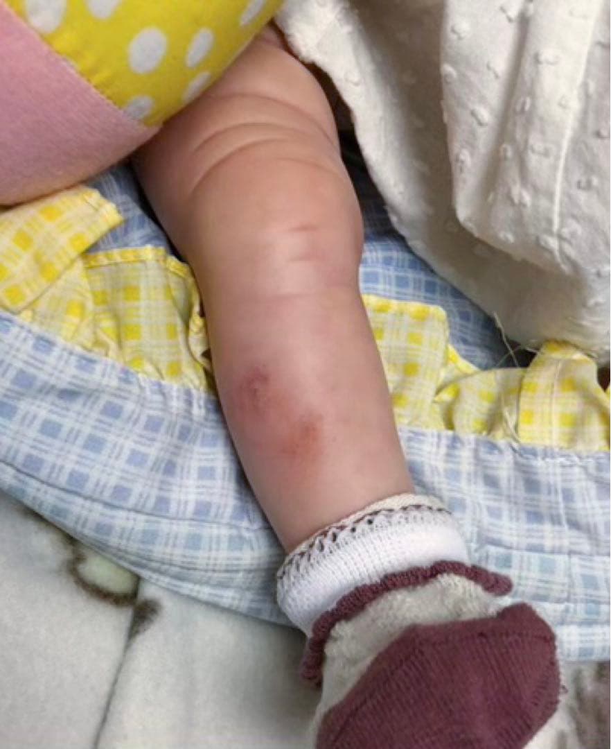 REBORN EMILIA BY PING LAU♡リボーンドール