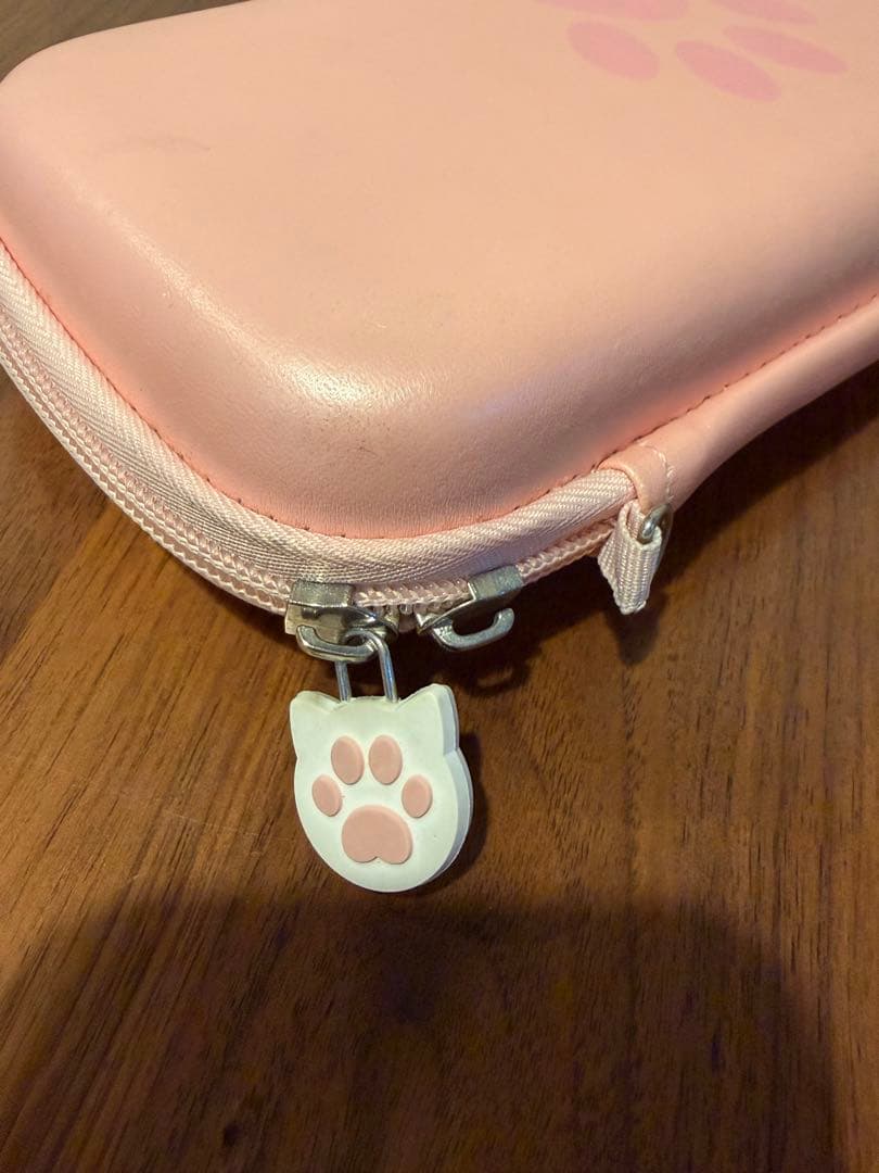 Nintendo Switch Lite コーラル ケース付き